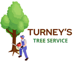 Turneys Tree Service And Stump Grinding